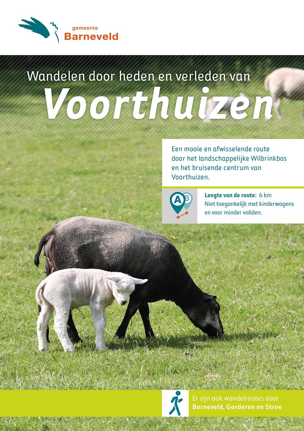 Cover Voorthuizen