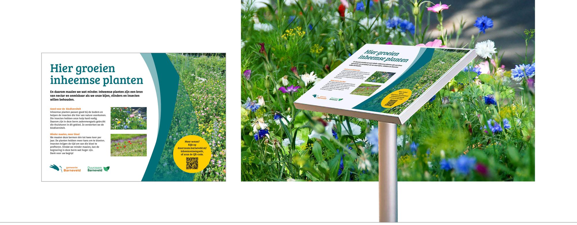 Infobord inheemse planten-1